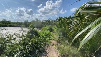 Chính chủ bán đất MT rừng sác vào 500m,mặt sông rạch cá gấu lớn