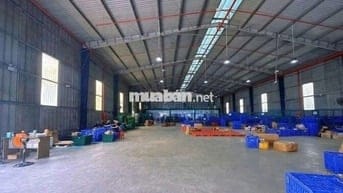 Xưởng cho thuê làm ó keo  ngoài KCN ĐỨC Hòa Long An