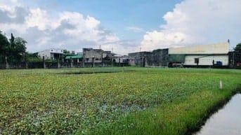 5x30(146m2) Full Thổ Cư, Hẻm Lê Minh Công Tân Phước LaGi Gần Biển