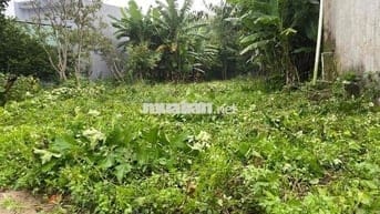 Chính chủ cần bán 200m2 đất ở Quan Châu