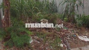 BÁN LÔ ĐẤT 620 TRIỆU  98m2 NGAY  KCN CẦU TRÀM. SHR, ĐƯỜNG OTO 4,5m