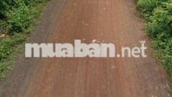 🏡 BÁN ĐẤT TP BUÔN MA THUỘT GIÁ RẺ