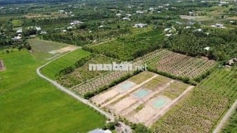 4500m2 150m2 đất ở Hòa Phong Đà Nẵng