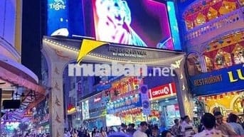 NHÀ HẺM BÙI VIỆN 10M RA MẶT LỘ 2 HẺM THÔNG