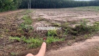 Giá 2xx dt300m2 SHR cách DT756 vào 500m xã Minh Lập Chơn Thành