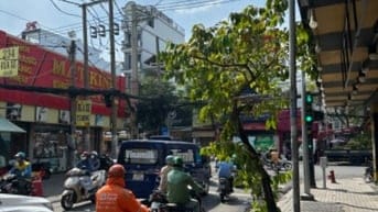 Bán nhà đường Nguyễn Thị Thập, P Tân Quy Q7 32.5 tỷ