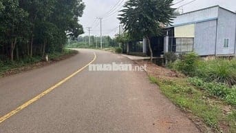 Đất 2mt đg tđ7 hắc dịch phú mỹ, tặng  nhà cấp 4 ,dt:7.6x22 giá 1.65ty