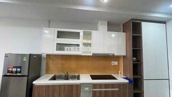 Cho thuê căn hộ Cao Cấp BICONSI TOWER 2PN 2WC Full Nội Thất 8tr