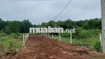 Mặt tiền nhựa. Sát khu công nghiệp.