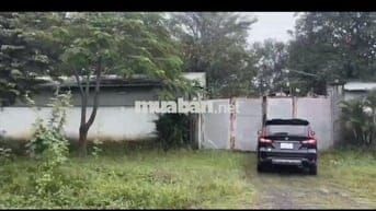 Bán gấp lô đất hơn 1 hec mặt đường Trương Thị Như Hóc Môn