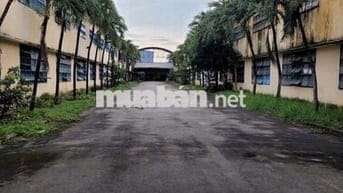 Cho thuê kho 368 triệu,46x 100m mặt tiền nhánh Trần Đại Nghĩa,Tân Kiên