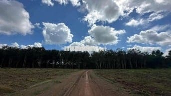 Hơn 3000m2 đất vườn tại Đồng Phú Bình Phước cạnh DT741 giá chỉ 500tr