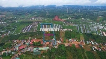 Cần bán 6,5héc ngay trung tâm xã Thuận Hà