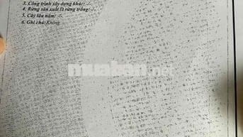 đất thổ cư 1,8ty cách võ văn kiệt 70m sau lưng Dê đệ nhất cần thơ