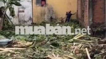 Đất ngang 6 tại Khu chung cư Pictyty, thạnh xuân 13, Quận 12