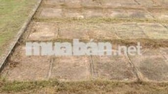 Bán mộ đôi sala garden ( 198tr/ 1 cặp)