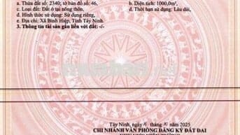 ĐẤT 1000 M2 ,THỔ CƯ 100% LONG AN - HÀNG HIẾM