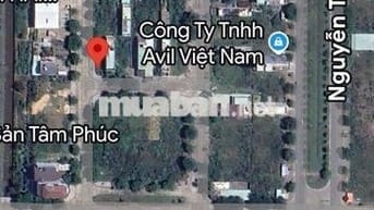 Lô Góc . Biệt thự khu A2 golden hills. Cực đẹp .giá mềm