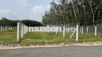 Đất Đường Nhựa Cây Da gần KCN Hiệp Thạnh Gò Dầu Tây Ninh