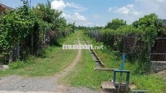 ĐẤT VƯỜN GIÁ TỐT KHU VỰC GÒ DẦU TÂY NINH, 1000M2 GIÁ 1 TỶ