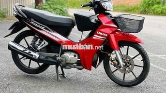 Sirius zin dọn kiểng dáng thư sinh