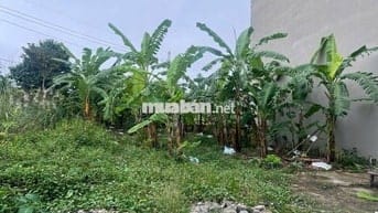 ĐẤT PHÂN MAI CHÂU, ĐẠI ĐỒNG 120M MẶT TIỀN 8M Ô TÔ TRÁNH CHỈ 11.8 TỶ