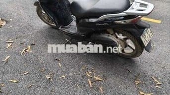 Shark bstp 9 nút gtdd