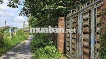 Tôi chính chủ cần bán lô đất full thổ cư xã An Nhơn Tây