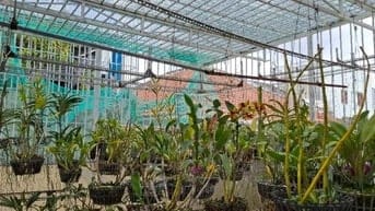 Bán Nhà Riêng 3 tầng đường 339 PLB Q9