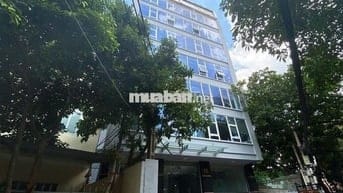 Cho thuê tòa nhà văn phòng Nguyễn Văn Trỗi Phú Nhuận. Hầm 7 tầng