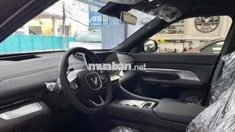 HCM- cần bán VF9 Vin24 Plus CATL Đen trần kính