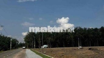 Sang ngay lô đất 250m2 ngay mặt tiền DH, giá rẻ công chứng ngay