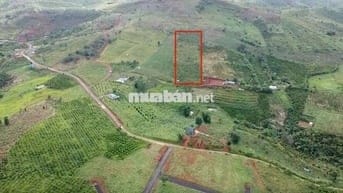 Đất Ven Đồi Đẹp Nhất Bảo Lâm - View Núi , Săn Mây