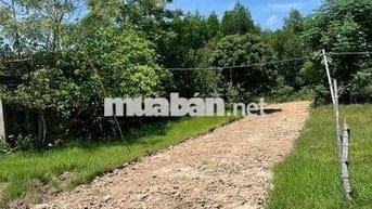 Chính Chủ Cần ra gấp lô đất ở Nam Hòa Tiến diện tích cực rộng