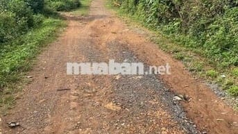 Lốc 10 lô liền kề full thổ cư trục chính sân bóng Tara