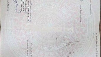 Bán Đất Sổ Riêng 117,5m2 Thổ Cư Hết Bên Trung Tâm Hành Chính Bàu Bàng