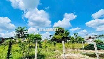 Đất làm nhà vườn 417m2 ngay khu Việt Kiều, Củ Chi. 770Tr Sổ Hồng Riêng