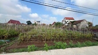 Bán đất tại Giao Tiến, Giao Thủy, Nam Định, giá cực chất 7,5 tỷ, 217m2