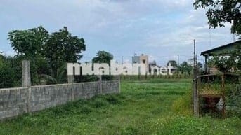 🌳 CHÍNH CHỦ BÁN ĐẤT ĐẸP GẦN VINHOMES HÓC MÔN – GIÁ TỐT! 🌳