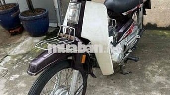 supper dream 1999. BSTP 1 đời chủ công chứng liền