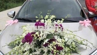 Toyota Vios 2019 1.5E MT - 82000 km