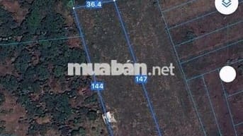 BÁN 5 XÀO CÓ 40M MẶT TIỀN ĐƯỜNG BÊ TONG,DÂN CƯ Ở ĐÔNG,GIÁ 2,5 TỶ