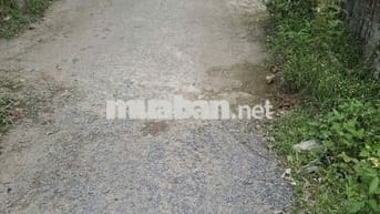 Đất thổ 167m2 sau UBND, cách BV-Trường học-Trạm y tế Mỹ Hạnh Nam 250m