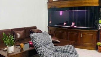 ĐỔI NHÀ ĐỂ LẠI BÀN GHẾ PH.KHÁCH + HỒ CÁ + BÀN ĂN