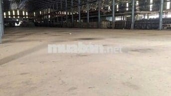 BÁN HOẶC CHO THUÊ XƯỞNG 15.000M² – VỊ TRÍ TRUNG TÂM KCN PHÚ MỸ