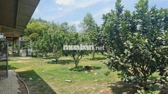 Lô đất vườn 3000m2 có nhà có Thổ cư, ngay TT Chơn Thành, Sổ có sẵn