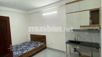 Có 2 toà 29 Hồng mai và 254 Minh khai