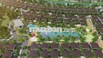 Chính Chủ cho thuê Cảmellia Full nội thất 28triệu