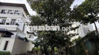 ĐẤT XÂY BIỆT THỰ ĐƯỜNG 12M , XÂY TỰ DO KHU DÂN TRÍ CAO