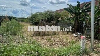 Đất mặt tiền lộ nhựa Cần Thơ giá chưa tới 4,5 tỷ